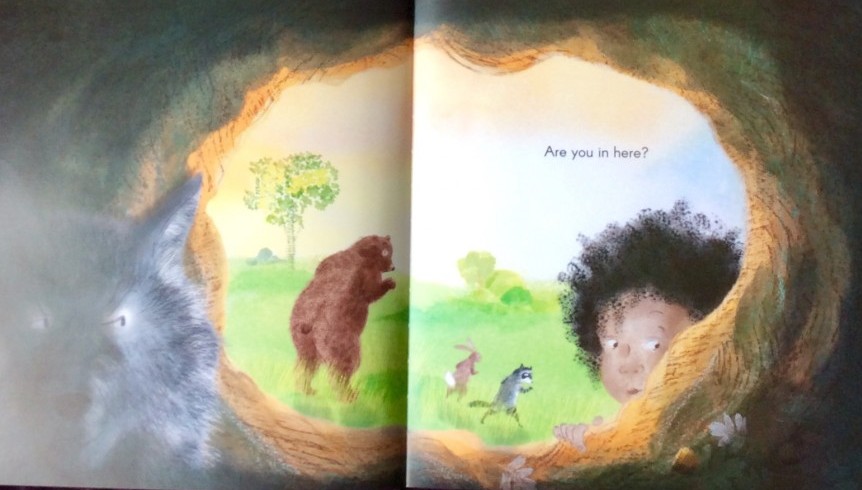 Hide and Seek Book by Polly Noakes